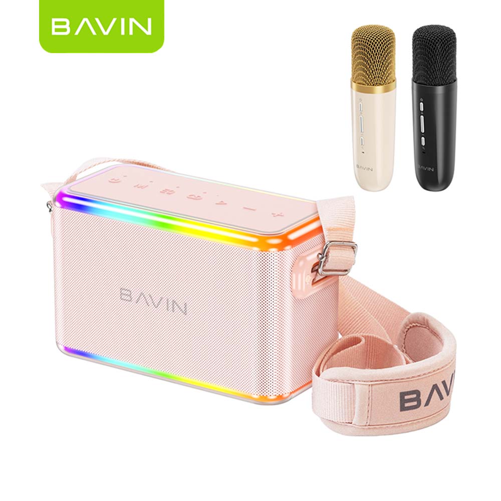 BAVIN DV-BM27 Outdoor Bluetooth Speaker Portable High-Power Karaoke Machine w/ RGB Lights & Dual Wireless Microphones