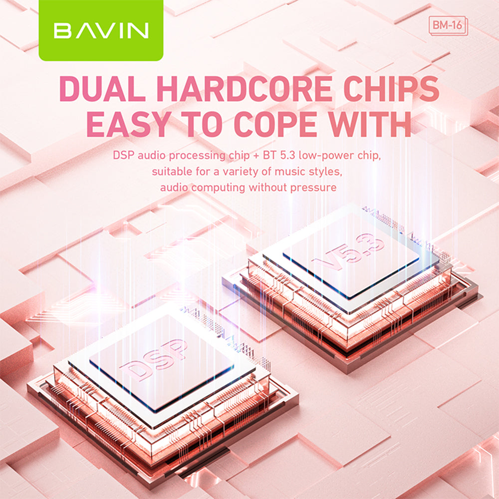 BAVIN DV-BM16 Portable Karaoke Bluetooth Wireless Speaker w/ Microphone
