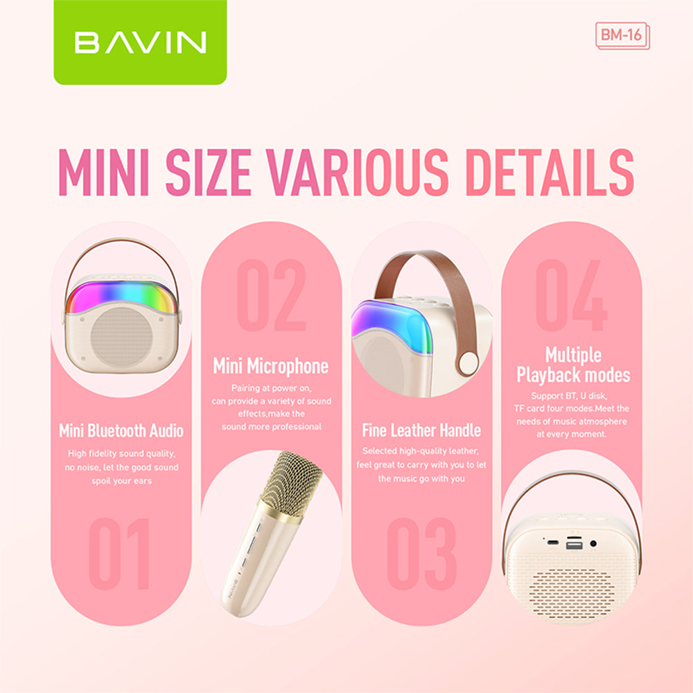 BAVIN DV-BM16 Portable Karaoke Bluetooth Wireless Speaker w/ Microphone