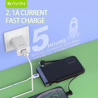 BAVIN Y-PC096 10000mAh Fast Charging Powerbank w/ Built-in Cable