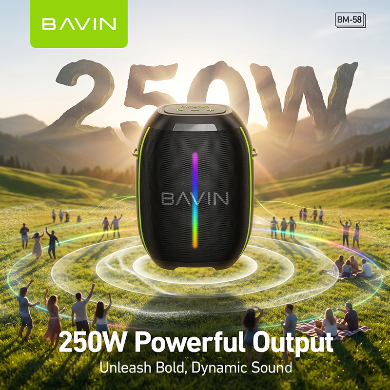 BAVIN BM58 250W Portable Party Bluetooth Karaoke Speaker 12000mAh with RGB LED Lights & Wireless Mic