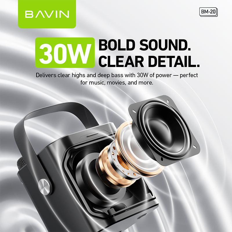 BAVIN DV-BM20 Professional Karaoke Bluetooth 5.0 Portable Speaker w/ Dual Microphones & Phone Stande