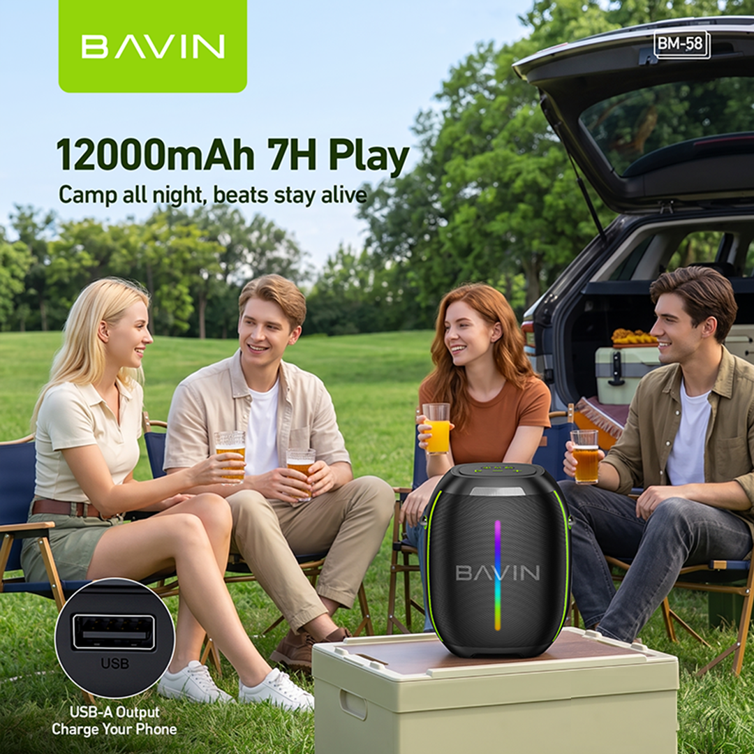 BAVIN BM58 250W Portable Party Bluetooth Karaoke Speaker 12000mAh with RGB LED Lights & Wireless Mic