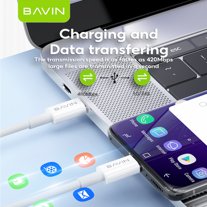 BAVIN CB169 / CB179 60W Fast Charging Data Cable Type-C to iPhone & Type-C to Type-C Cord for iPhone 17