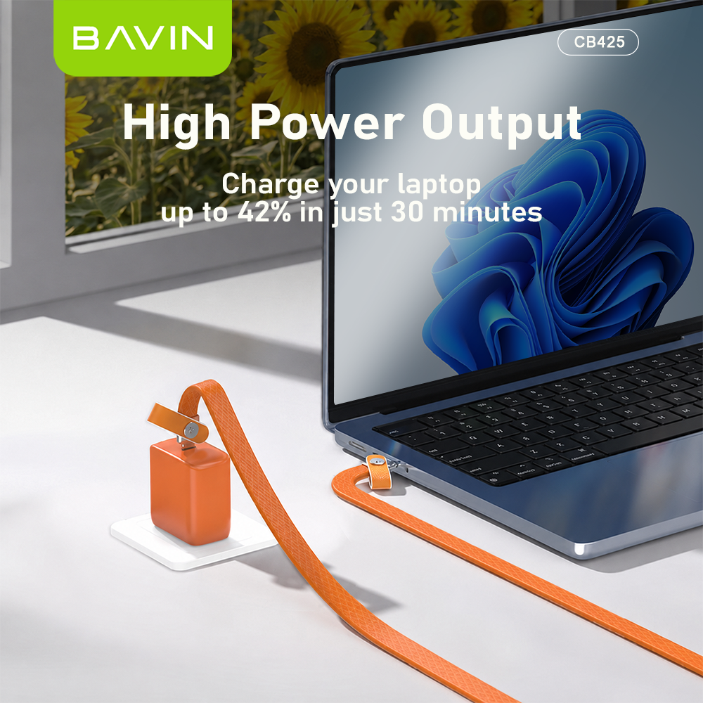 BAVIN CB425 2in1 60W Fast Charging Phone Strap Lanyard + Flat Type-C Data Cable 1.2m for iPhone 17, Android