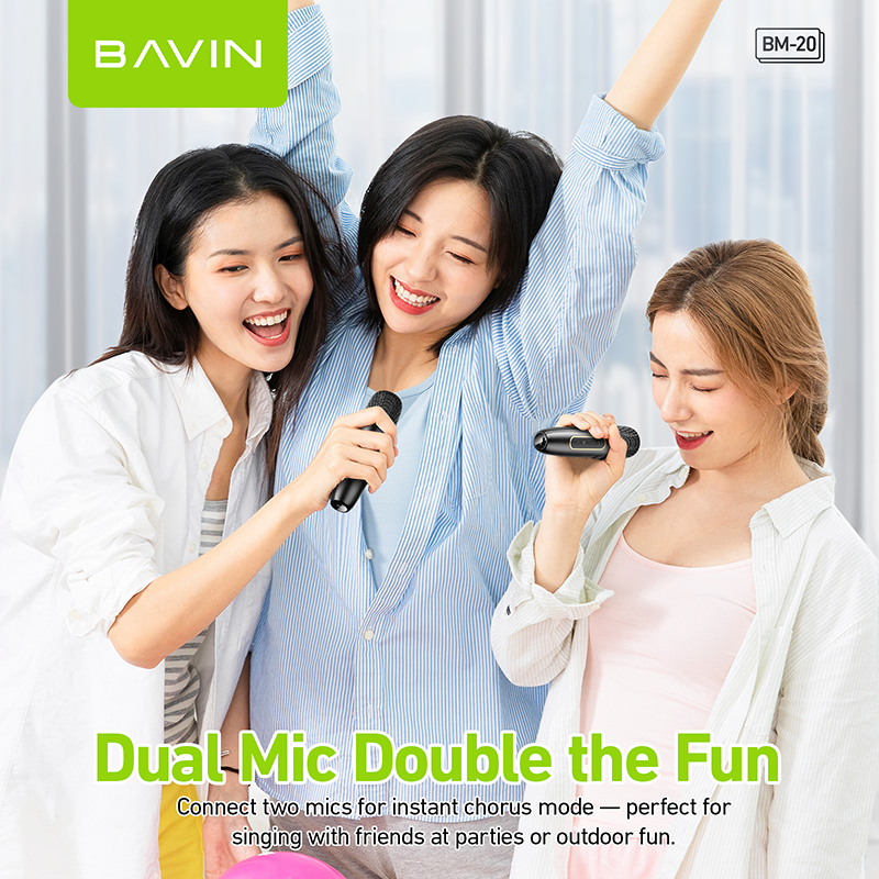 BAVIN DV-BM20 Professional Karaoke Bluetooth 5.0 Portable Speaker w/ Dual Microphones & Phone Stande