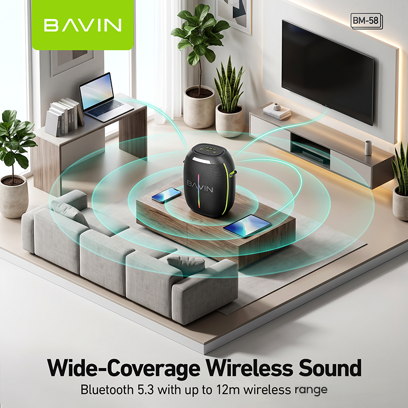 BAVIN BM58 250W Portable Party Bluetooth Karaoke Speaker 12000mAh with RGB LED Lights & Wireless Mic