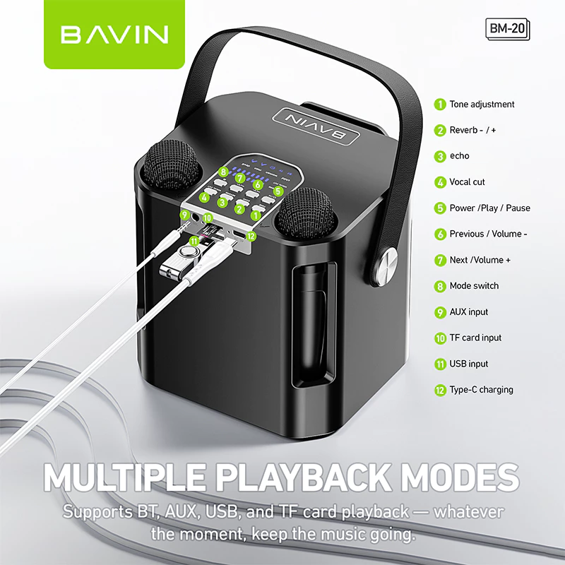BAVIN DV-BM20 Professional Karaoke Bluetooth 5.0 Portable Speaker w/ Dual Microphones & Phone Stande