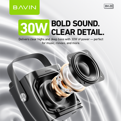 BAVIN DV-BM20 Professional Karaoke Bluetooth 5.0 Portable Speaker w/ Dual Microphones & Phone Stande
