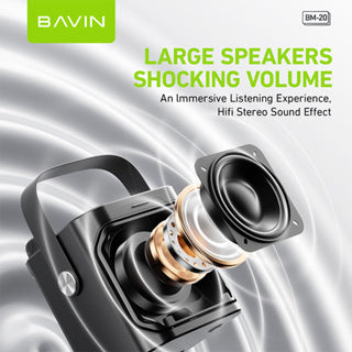 BAVIN DV-BM20 Professional Karaoke Bluetooth 5.0 Portable Speaker w/ Dual Microphones & Phone Stande