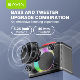 BAVIN DV-BM10 Bluetooth Wireless Portable Karaoke Speaker w/ Dual Bluetooth Microphones & Light