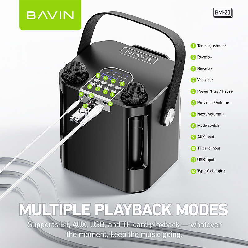 BAVIN DV-BM20 Professional Karaoke Bluetooth 5.0 Portable Speaker w/ Dual Microphones & Phone Stande