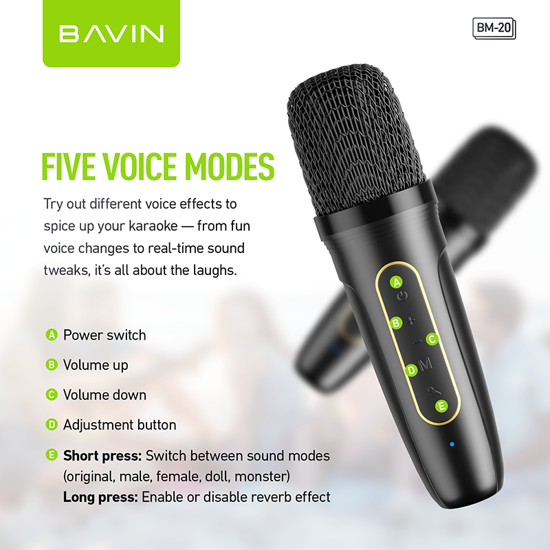 BAVIN DV-BM20 Professional Karaoke Bluetooth 5.0 Portable Speaker w/ Dual Microphones & Phone Stande