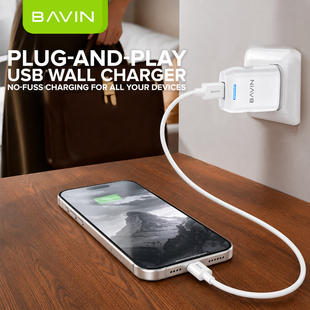 BAVIN PC752 Mini Wall Charger Overcharging Protection Quick Charge w/ USB Cable for Micro/iPhone/Type-C